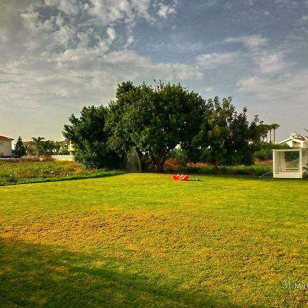 Constantaras Apartments Протарас Екстериор снимка