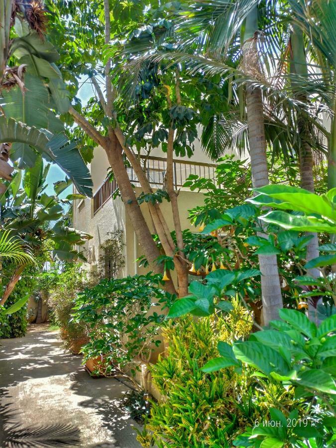 Constantaras Apartments Протарас Екстериор снимка