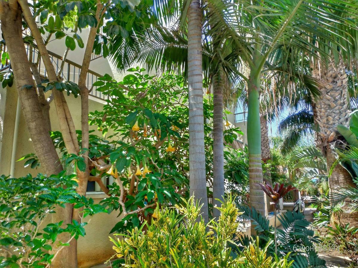 Constantaras Apartments Протарас Екстериор снимка